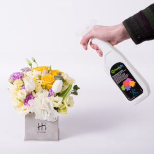 FloraLife Finishing Touch Spray 1 litru - 83-10282