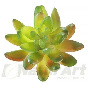 Planta Suculenta 7X10Cm Verde Na54902
