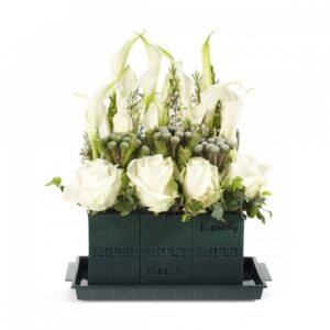 Burete Floral OASIS® ECONOMY Maxlife 20 10-01021